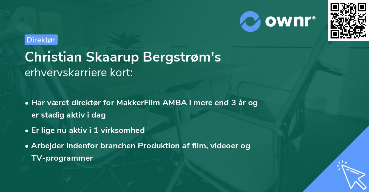 Christian Skaarup Bergstrøm's erhvervskarriere kort
