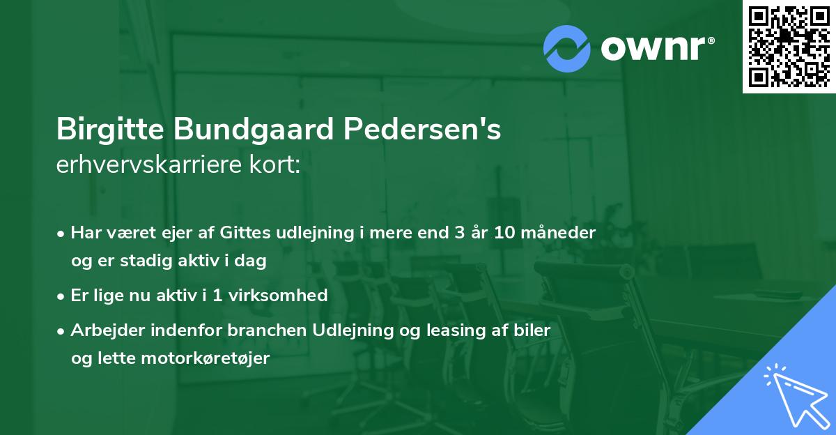 Birgitte Bundgaard Pedersen's erhvervskarriere kort