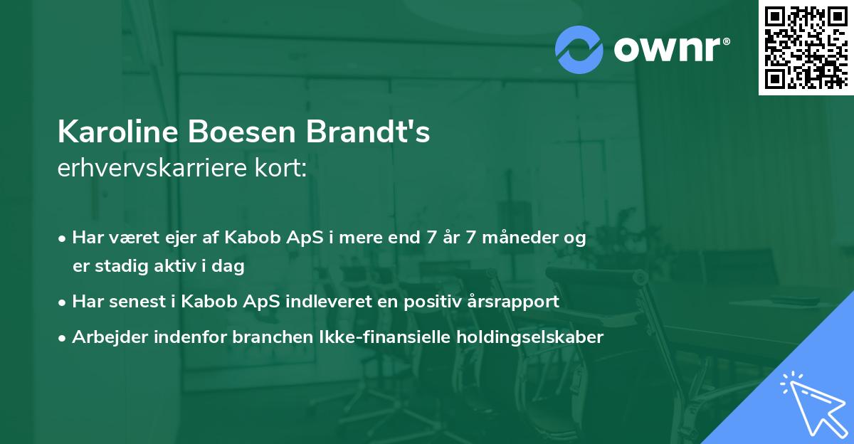 Karoline Boesen Brandt's erhvervskarriere kort
