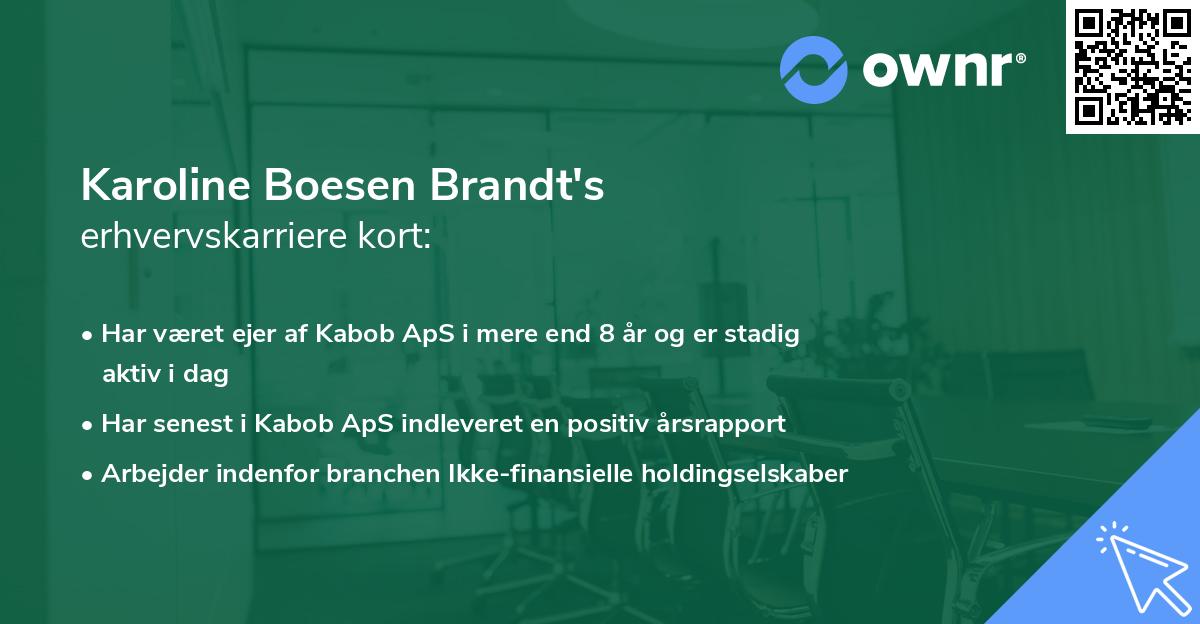 Karoline Boesen Brandt's erhvervskarriere kort