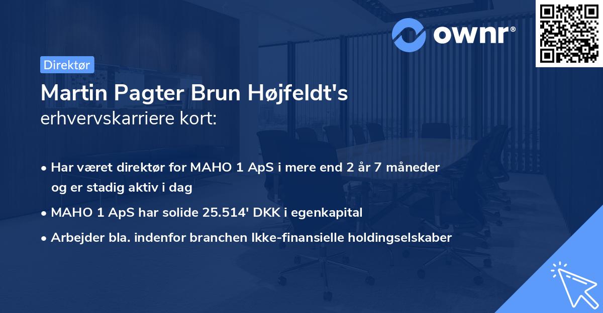 Martin Pagter Brun Højfeldt's erhvervskarriere kort