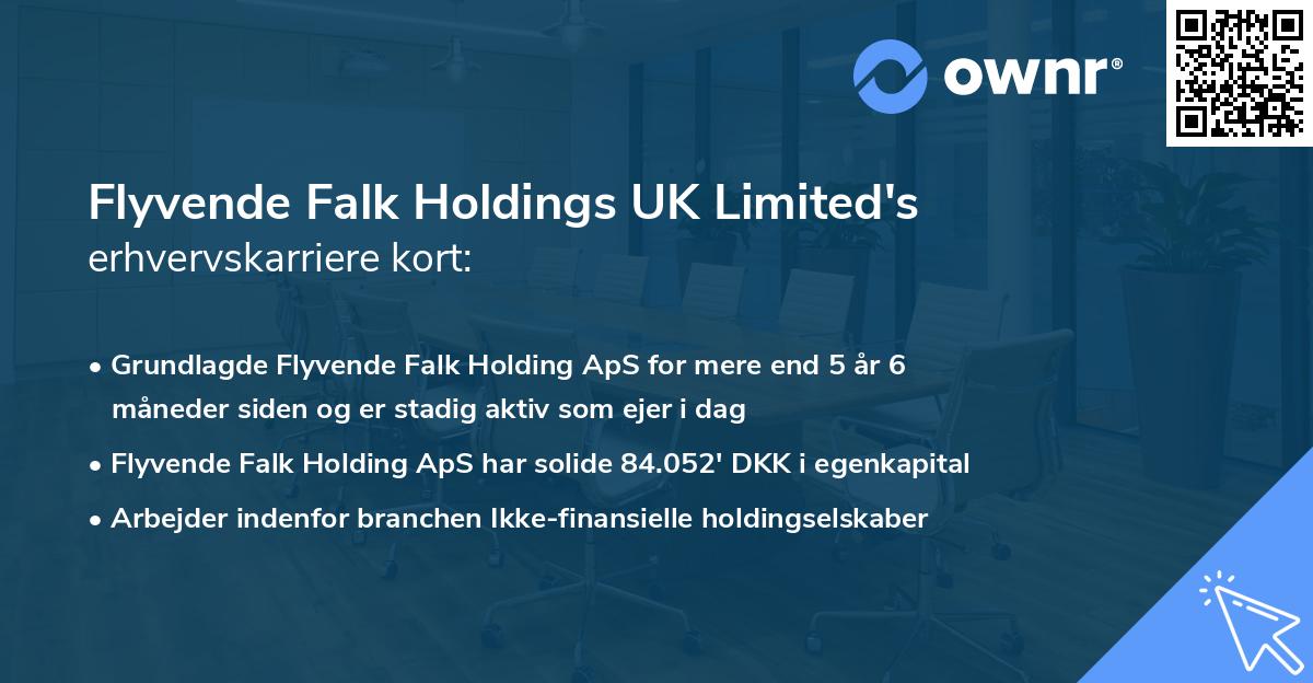 Flyvende Falk Holdings UK Limited's erhvervskarriere kort