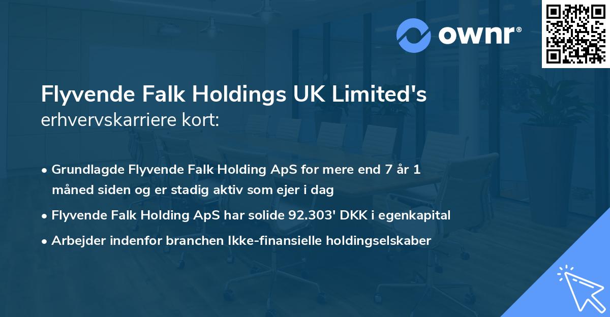 Flyvende Falk Holdings UK Limited's erhvervskarriere kort
