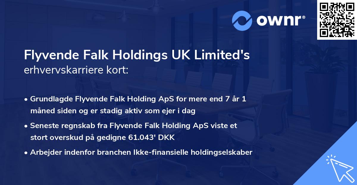 Flyvende Falk Holdings UK Limited's erhvervskarriere kort
