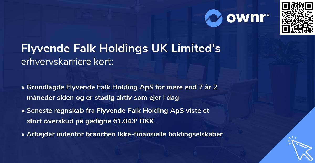 Flyvende Falk Holdings UK Limited's erhvervskarriere kort