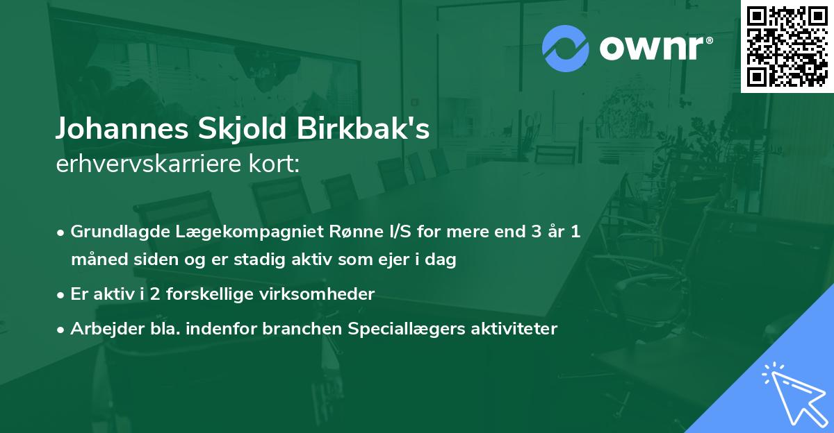 Johannes Skjold Birkbak's erhvervskarriere kort