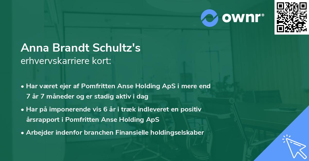 Anna Brandt Schultz's erhvervskarriere kort