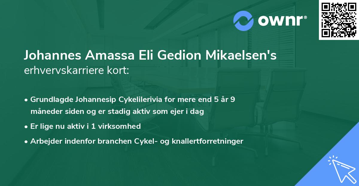 Johannes Amassa Eli Gedion Mikaelsen's erhvervskarriere kort