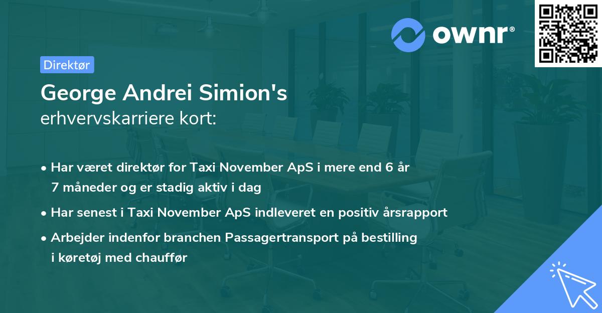 George Andrei Simion's erhvervskarriere kort
