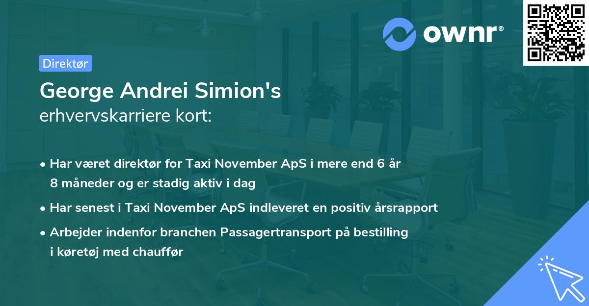 George Andrei Simion's erhvervskarriere kort