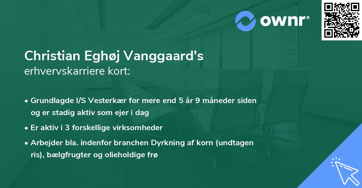 Christian Eghøj Vanggaard's erhvervskarriere kort