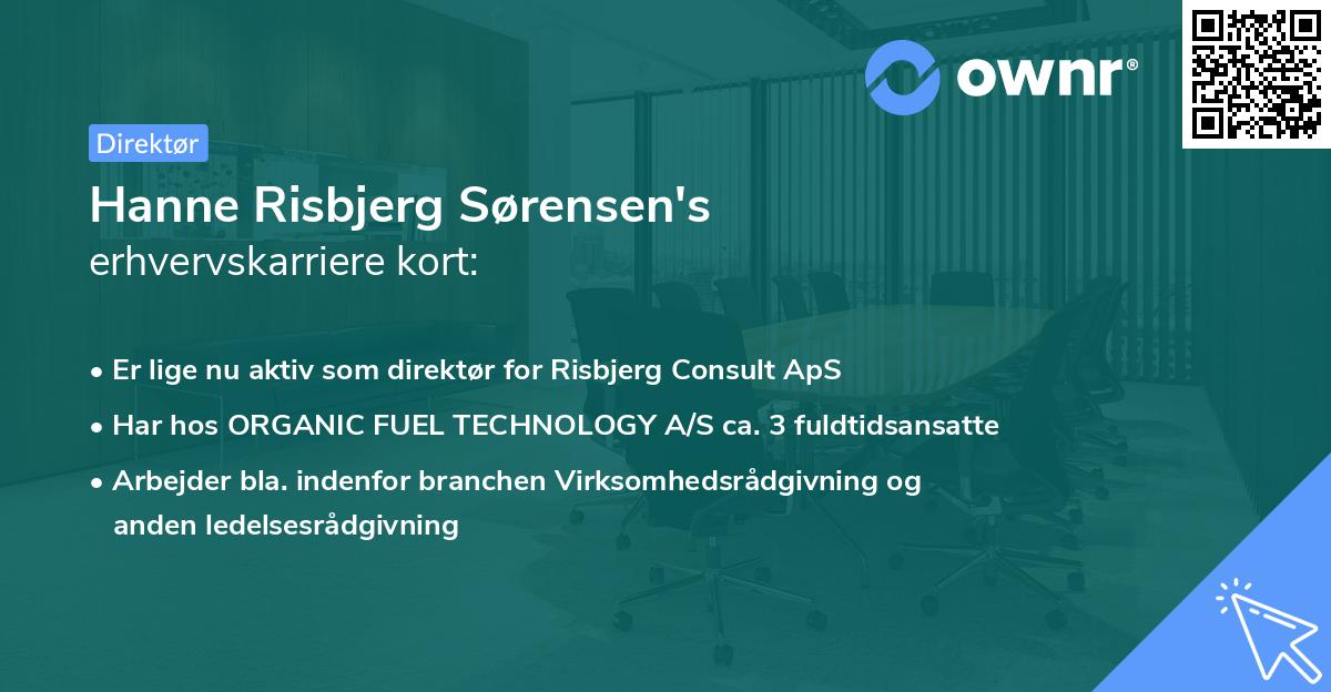 Hanne Risbjerg Sørensen's erhvervskarriere kort