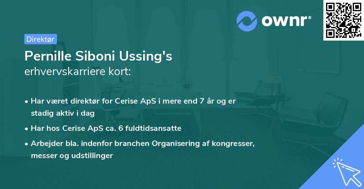 Pernille Siboni Ussing's erhvervskarriere kort