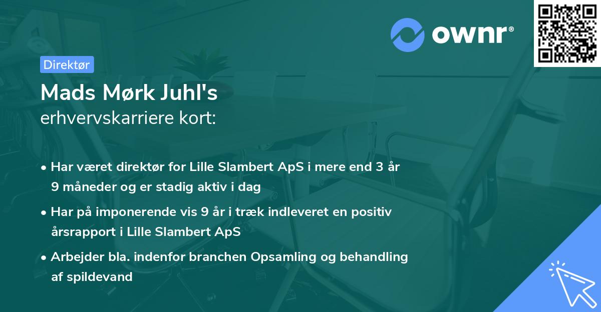 Mads Mørk Juhl's erhvervskarriere kort