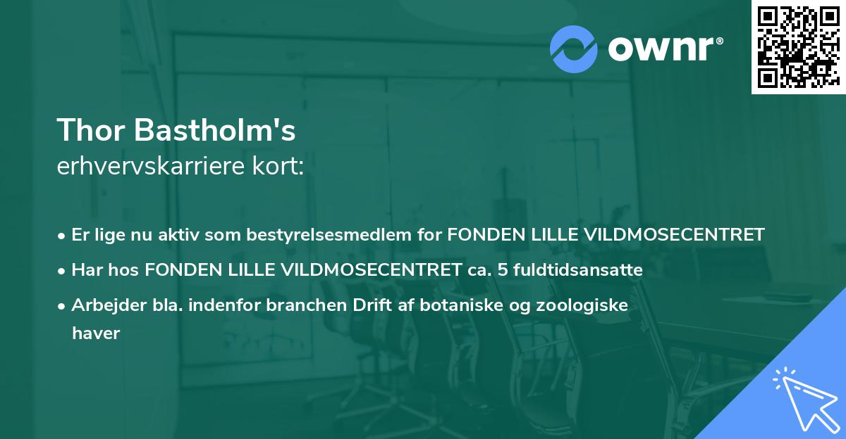 Thor Bastholm's erhvervskarriere kort