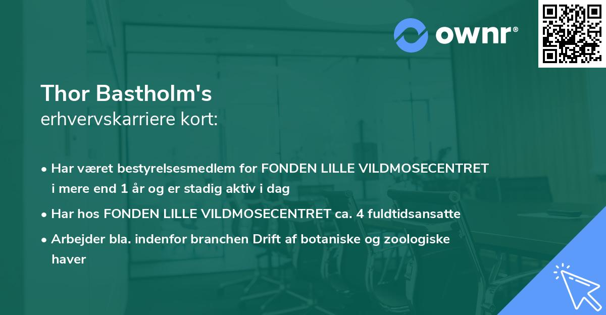 Thor Bastholm's erhvervskarriere kort
