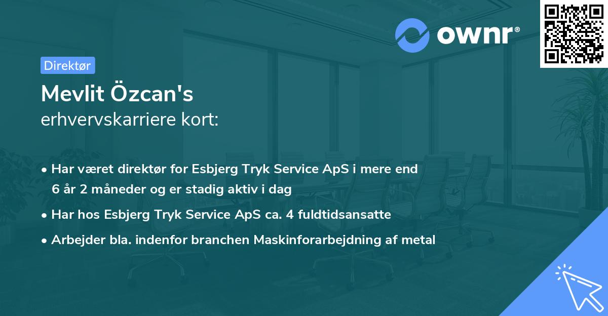 Mevlit Özcan's erhvervskarriere kort