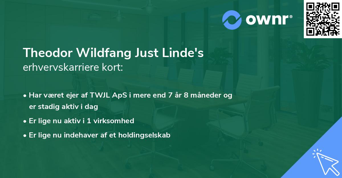 Theodor Wildfang Just Linde's erhvervskarriere kort