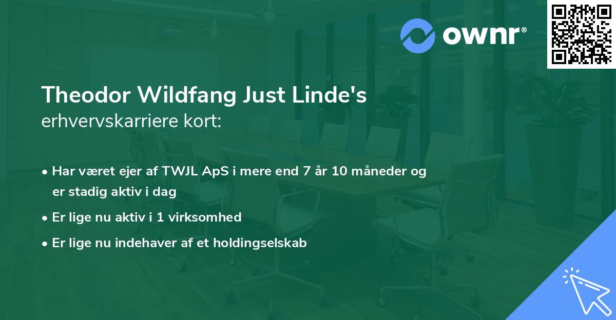 Theodor Wildfang Just Linde's erhvervskarriere kort