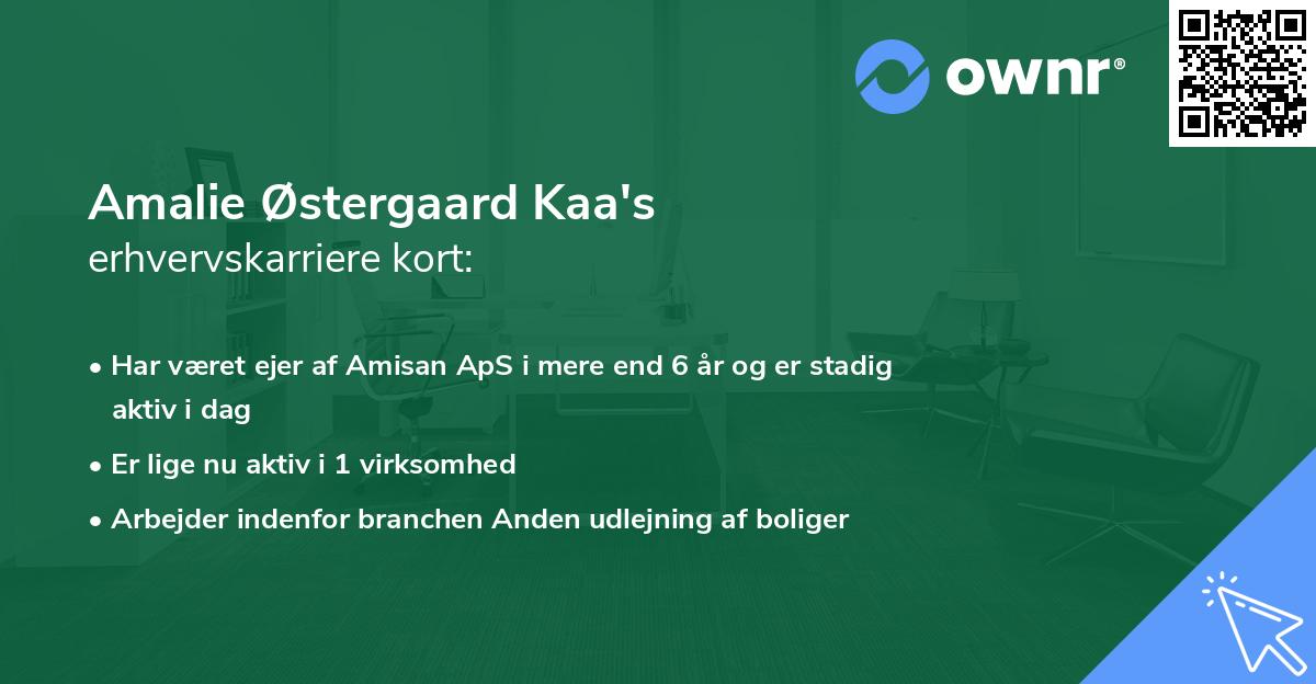 Amalie Østergaard Kaa's erhvervskarriere kort