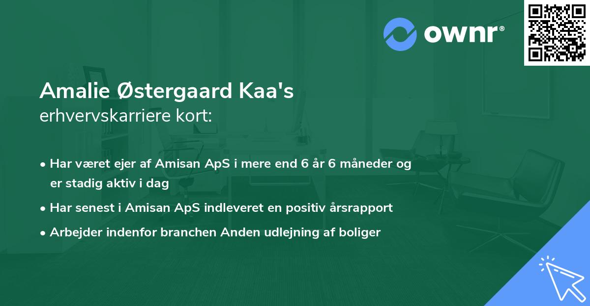 Amalie Østergaard Kaa's erhvervskarriere kort