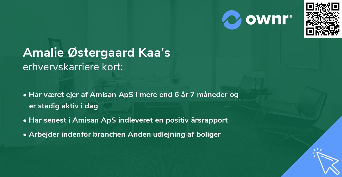 Amalie Østergaard Kaa's erhvervskarriere kort