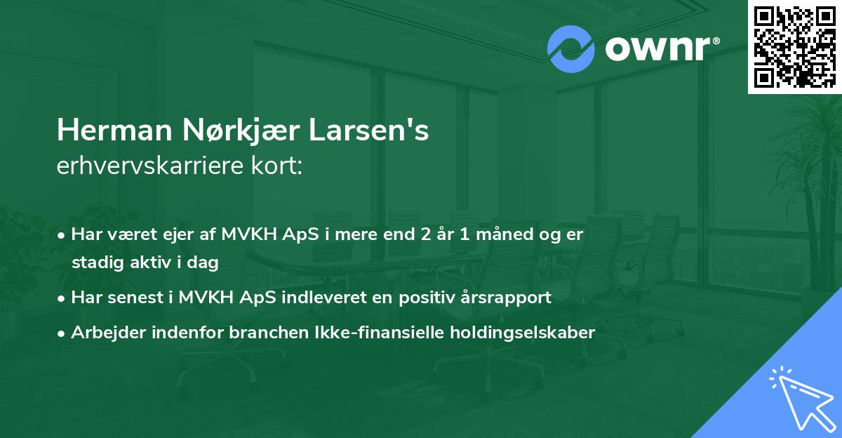 Herman Nørkjær Larsen's erhvervskarriere kort