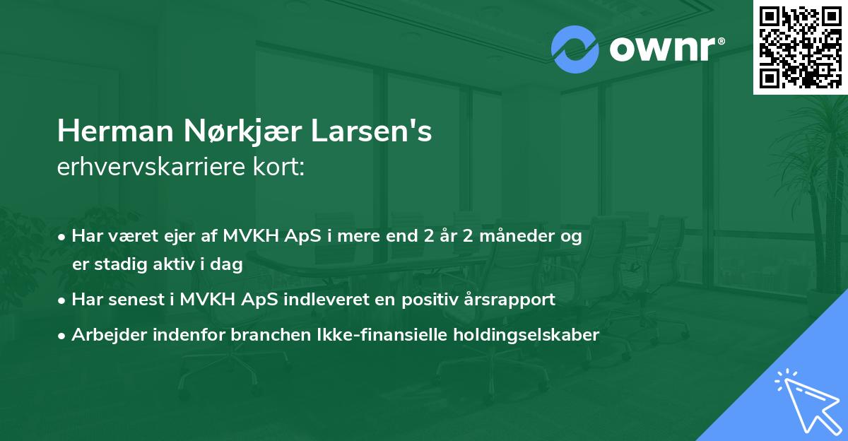 Herman Nørkjær Larsen's erhvervskarriere kort