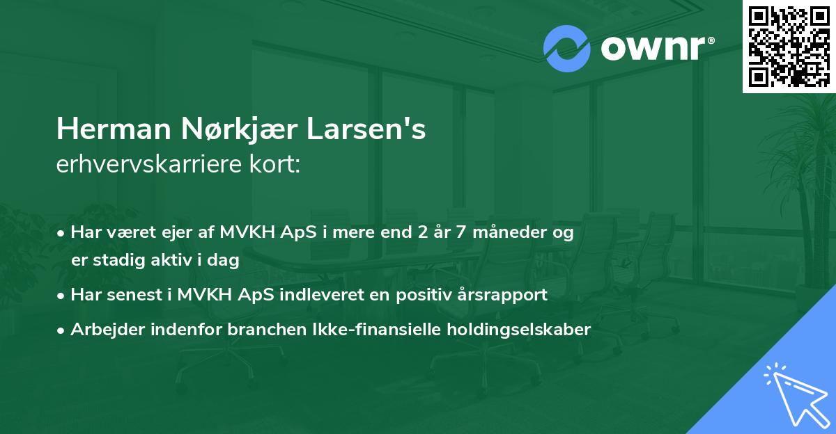 Herman Nørkjær Larsen's erhvervskarriere kort