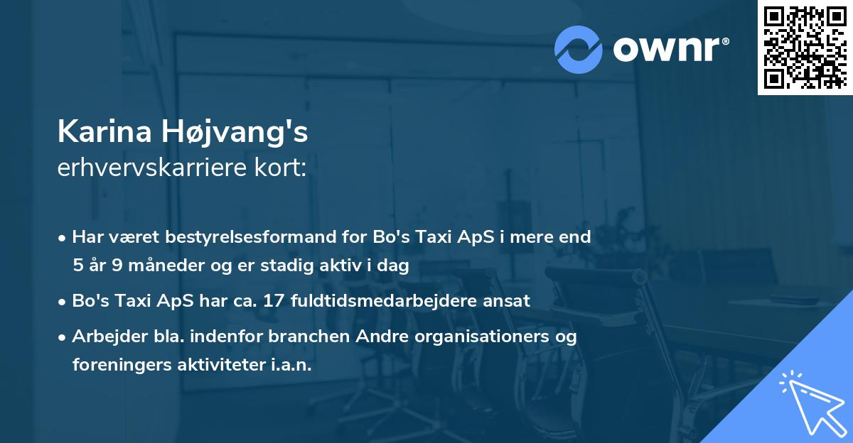 Karina Højvang's erhvervskarriere kort