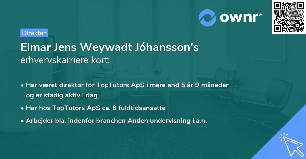 Elmar Jens Weywadt Jóhansson's erhvervskarriere kort