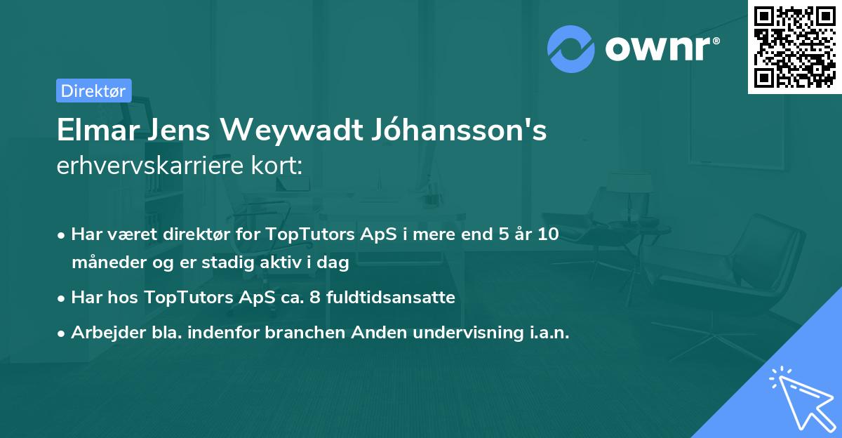 Elmar Jens Weywadt Jóhansson's erhvervskarriere kort