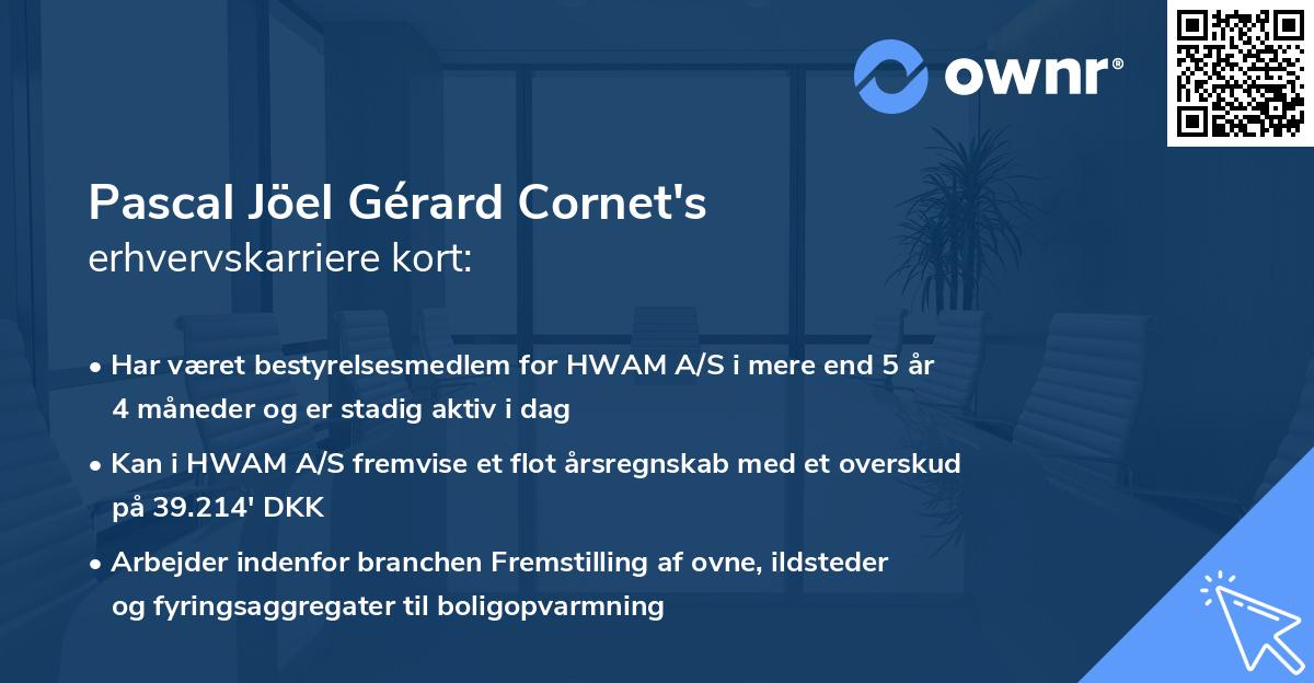 Pascal Jöel Gérard Cornet's erhvervskarriere kort