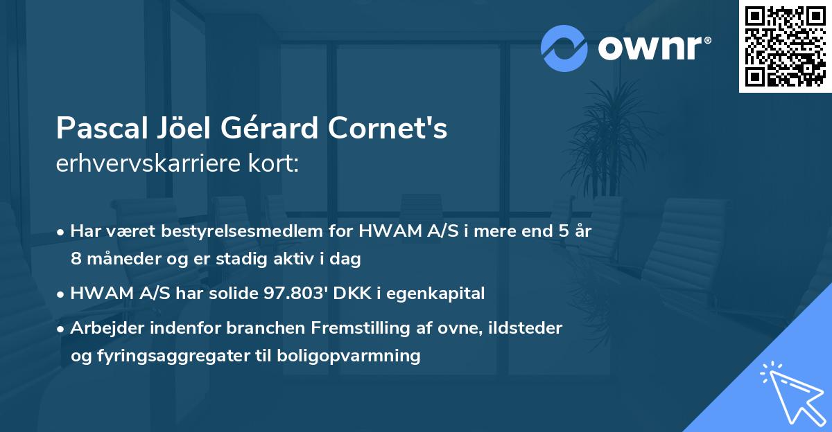 Pascal Jöel Gérard Cornet's erhvervskarriere kort