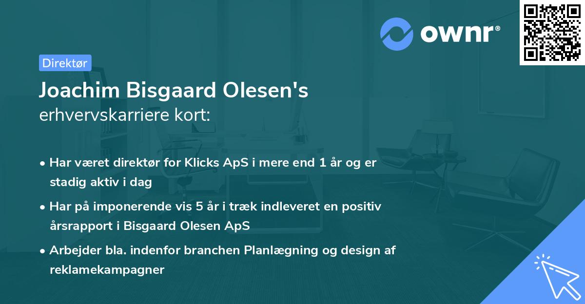 Joachim Bisgaard Olesen's erhvervskarriere kort