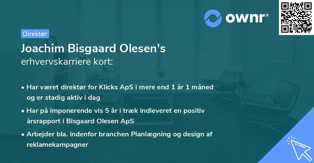 Joachim Bisgaard Olesen's erhvervskarriere kort