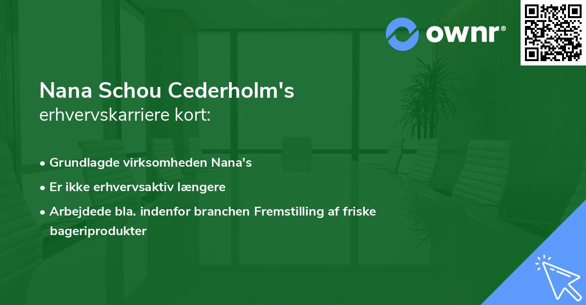 Nana Schou Cederholm's erhvervskarriere kort