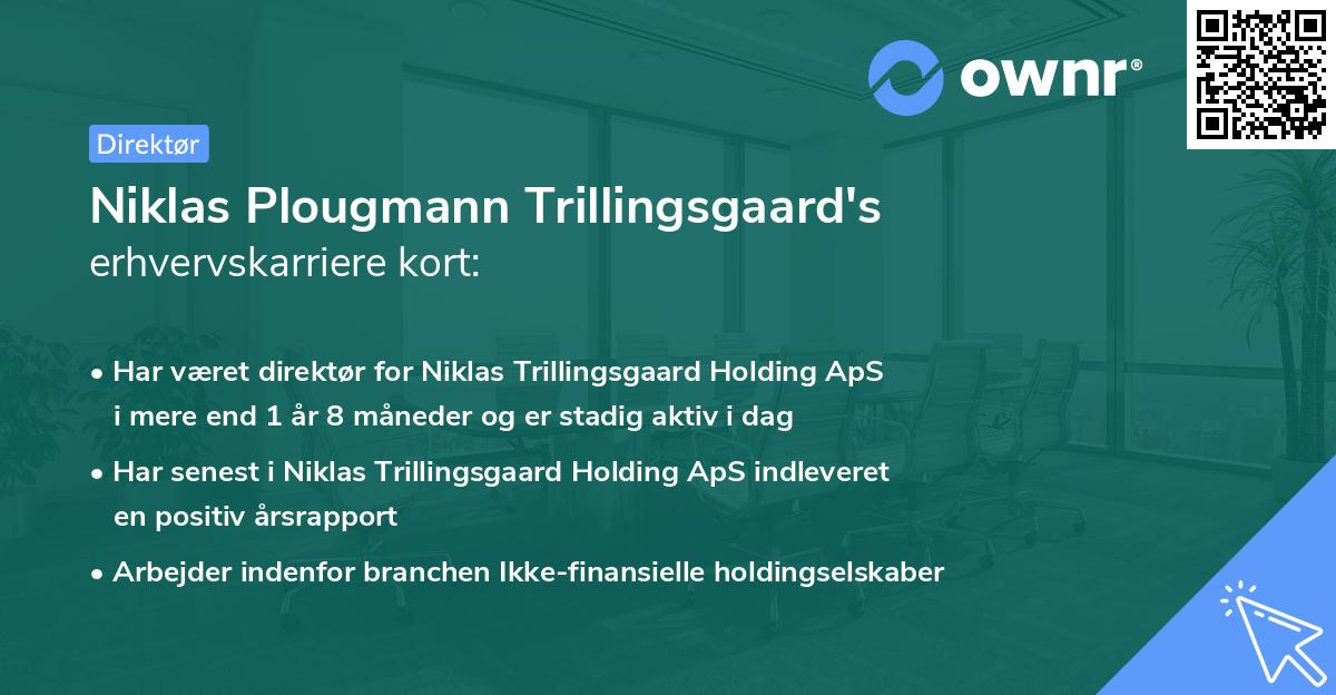 Niklas Plougmann Trillingsgaard's erhvervskarriere kort