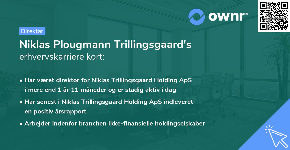 Niklas Plougmann Trillingsgaard's erhvervskarriere kort