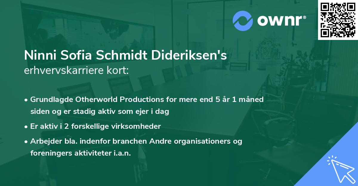 Ninni Sofia Schmidt Dideriksen's erhvervskarriere kort
