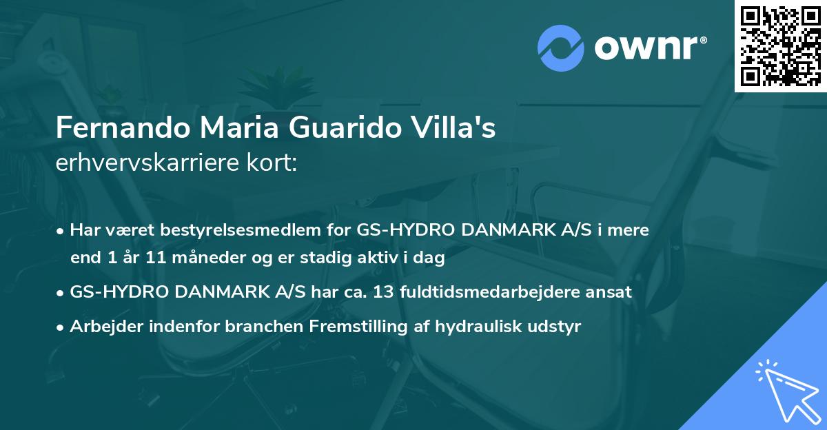 Fernando Maria Guarido Villa's erhvervskarriere kort