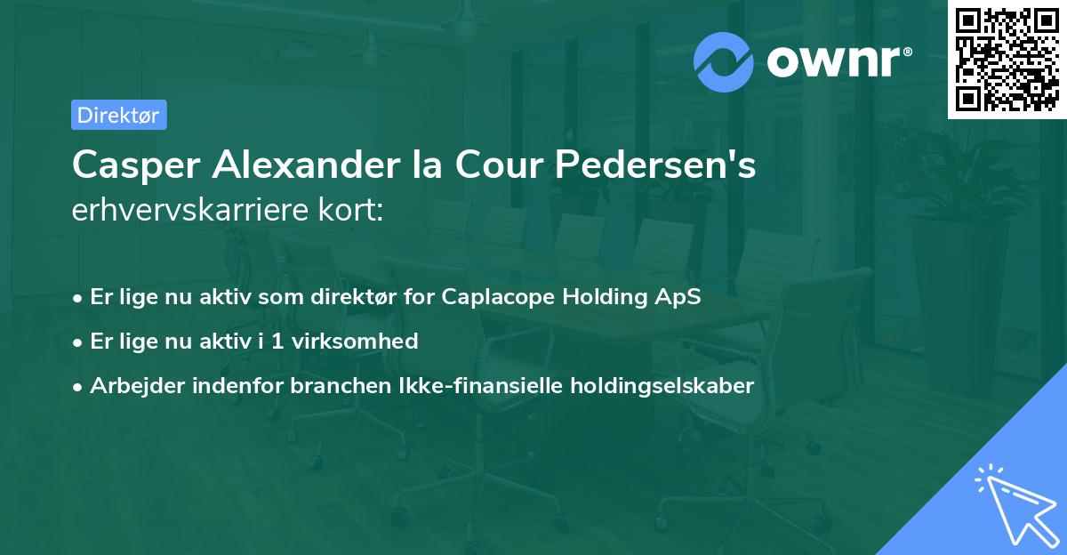 Casper Alexander la Cour Pedersen's erhvervskarriere kort