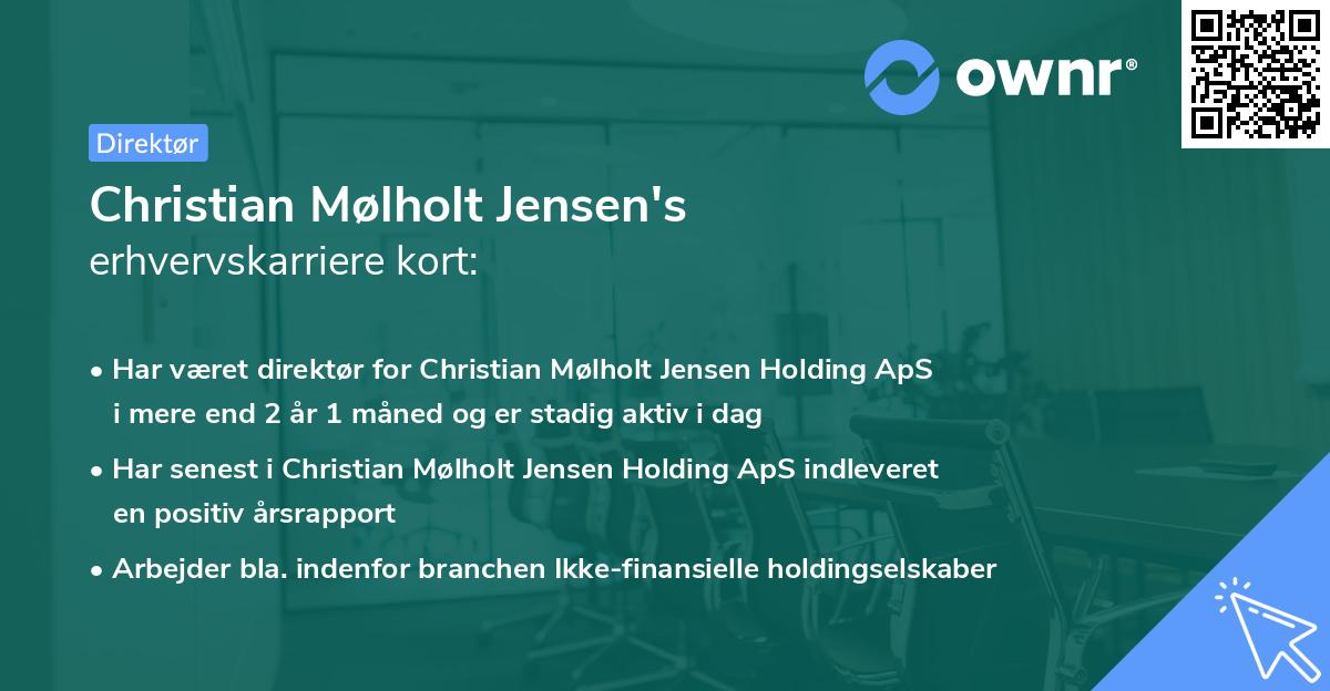 Christian Mølholt Jensen's erhvervskarriere kort