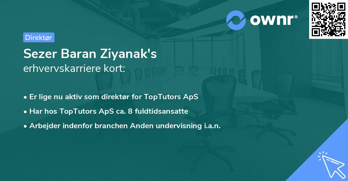 Sezer Baran Ziyanak's erhvervskarriere kort