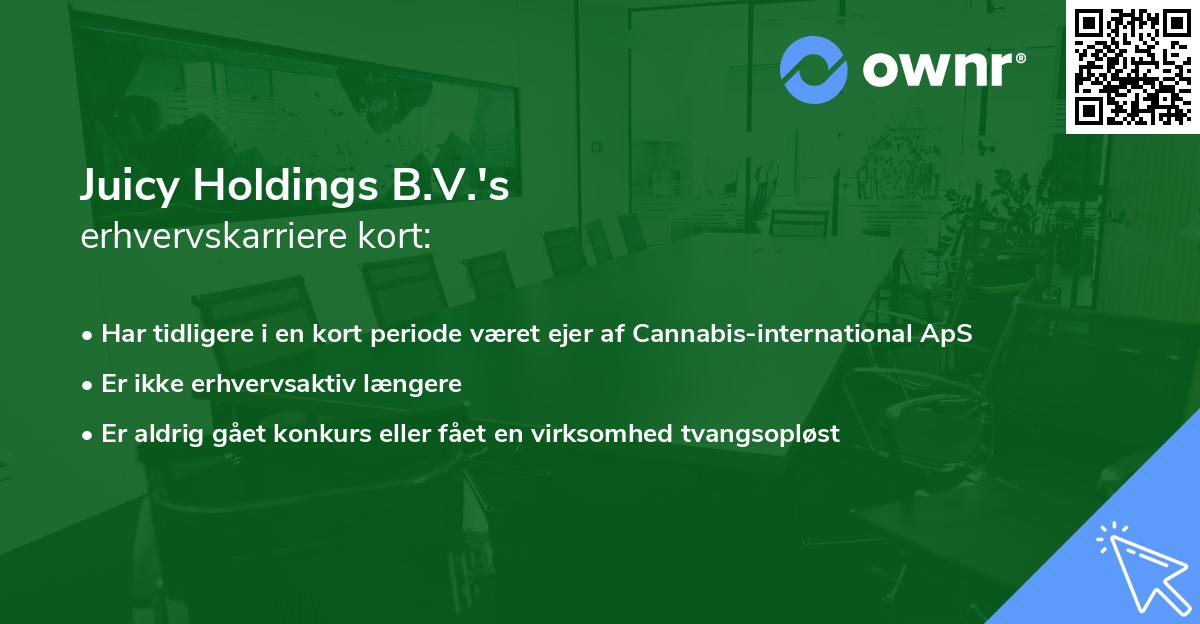 Juicy Holdings B.V.'s erhvervskarriere kort