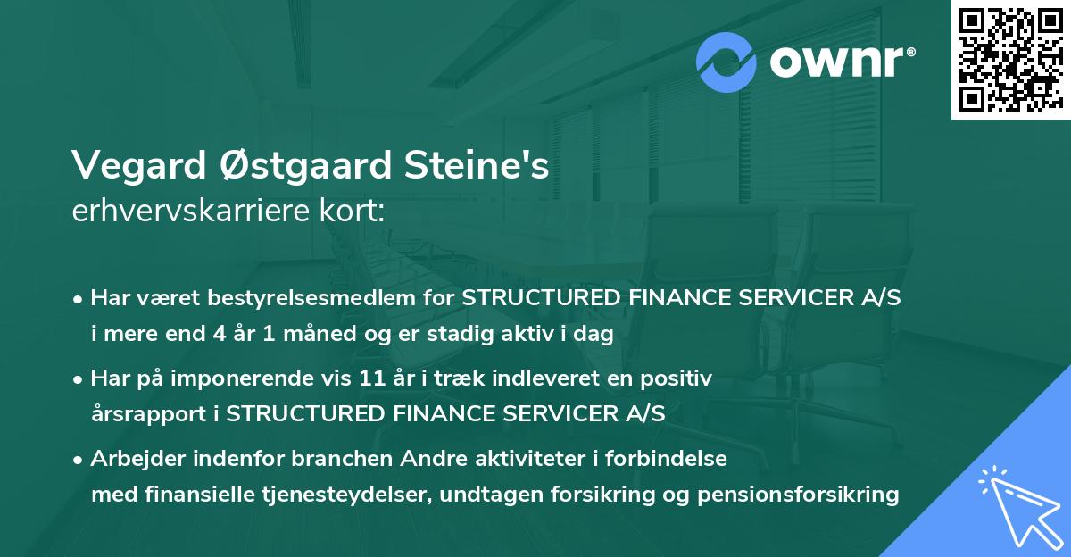 Vegard Østgaard Steine's erhvervskarriere kort