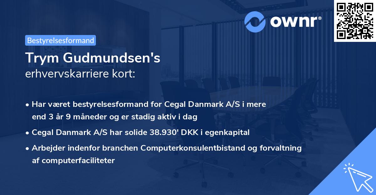 Trym Gudmundsen's erhvervskarriere kort