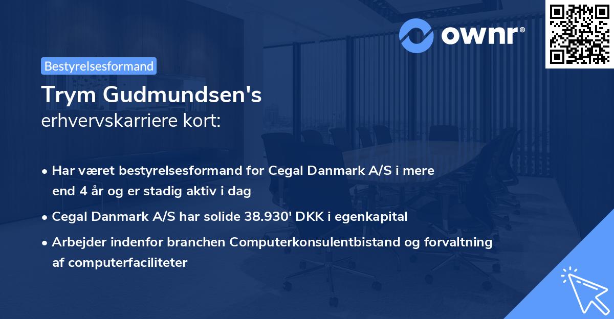 Trym Gudmundsen's erhvervskarriere kort