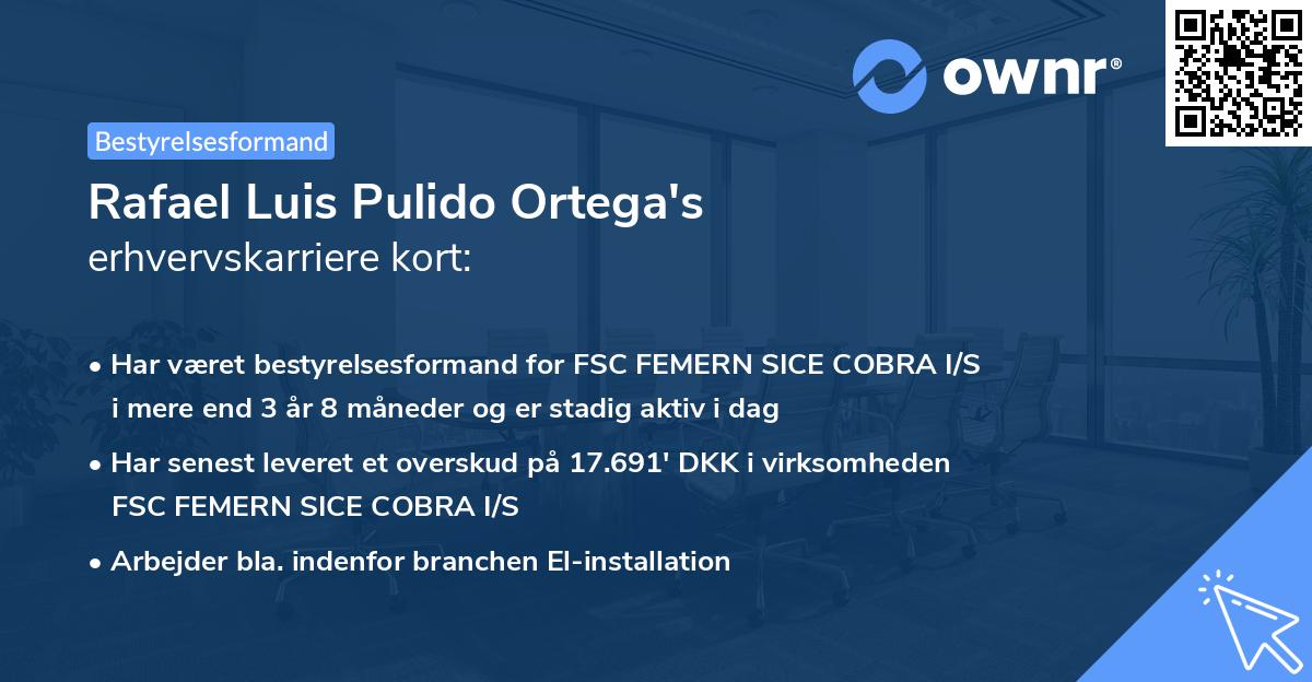 Rafael Luis Pulido Ortega's erhvervskarriere kort