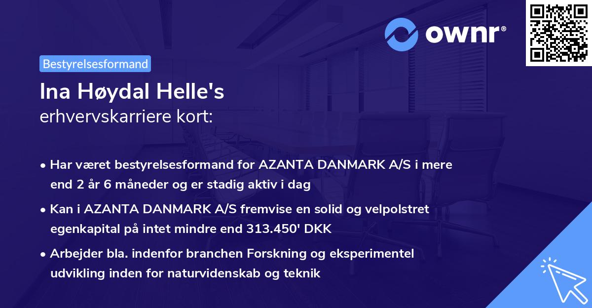 Ina Høydal Helle's erhvervskarriere kort